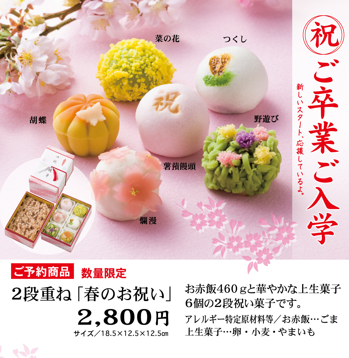祝ご卒業ご入学新しいスタート、応援しているよ。つくし菜の花野遊び胡蝶薯蕷饅頭爛漫ご予約商品数量限定2段重ね「春のお祝い」2,800円サイズ／18.5×12.5×12.5cmお赤飯460gと華やかな上生菓子6個の2段祝い菓子です。アレルギー特定原材料等／お赤飯・・・ごま上生菓子・・・卵・小麦・やまいも